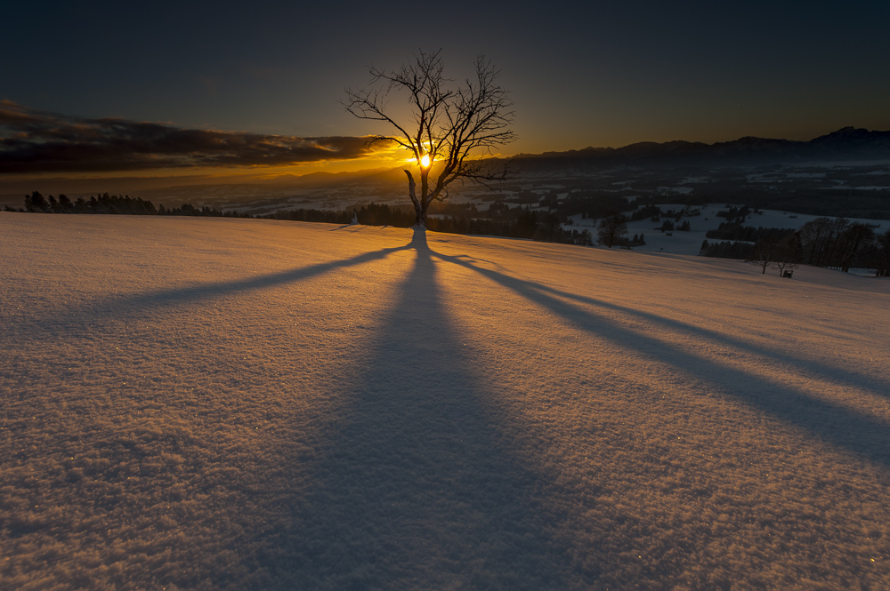 1. Platz Hans Kerler